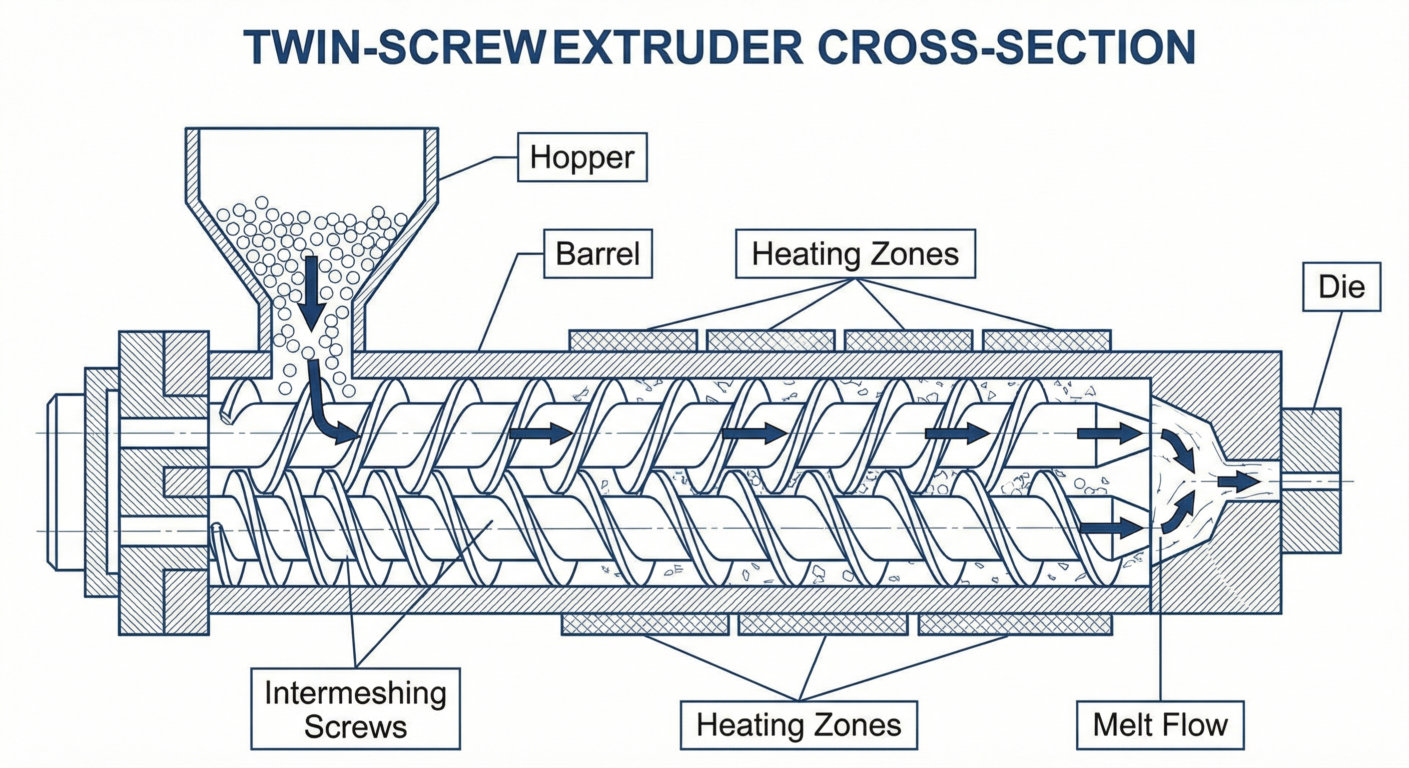 Engineering cross-section illustration showing twin-screw extruder internal components including co-rotating screw elements, kneading blocks, and material flow pathways