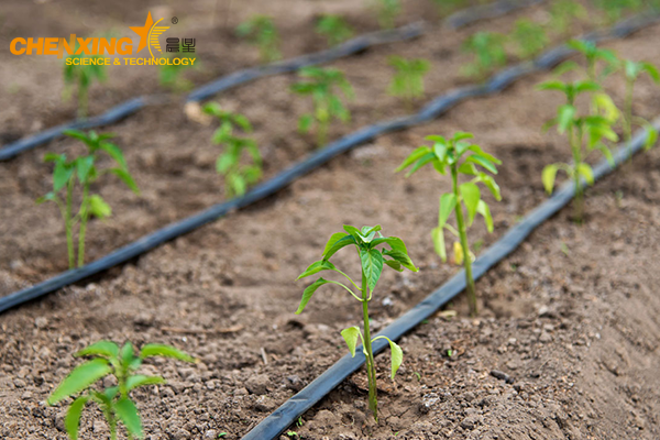 Agricultural Irrigation & Gardening