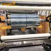 Twin Screw Dryer-Free Vented PET Sheet Extrusion Line